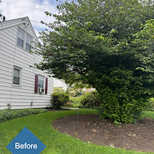Pruning-Weeding-Mulch-Installation-in-Stratford-CT 1
